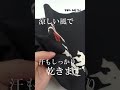 東京本染め浴衣で大人の夏姿 猿