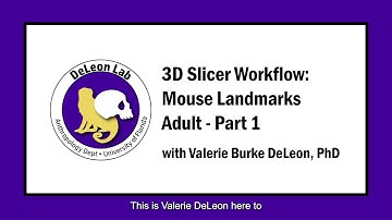 Mouse Landmarks in 3D Slicer - Part 1 of 3