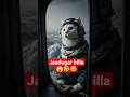 jaadugar billa