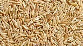 السعرات الحرارية في أرز أسمر غير مطبوخ
