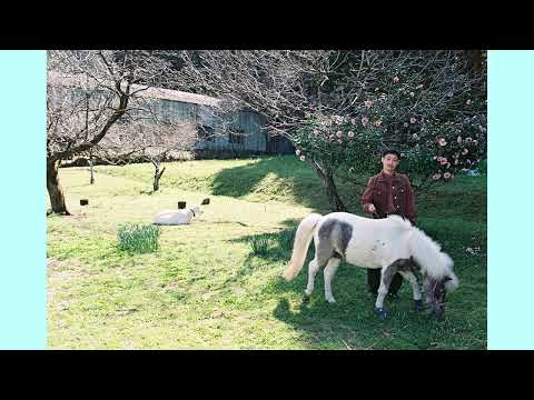 眞名子 新 Arata Manako - 楽しいだけじゃない Not Just Fun (Official Lyric Video) Photo : 川島小鳥 KOTORI KAWASHIMA