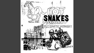 Vignette de la vidéo "Hot Snakes - Automatic Midnight"