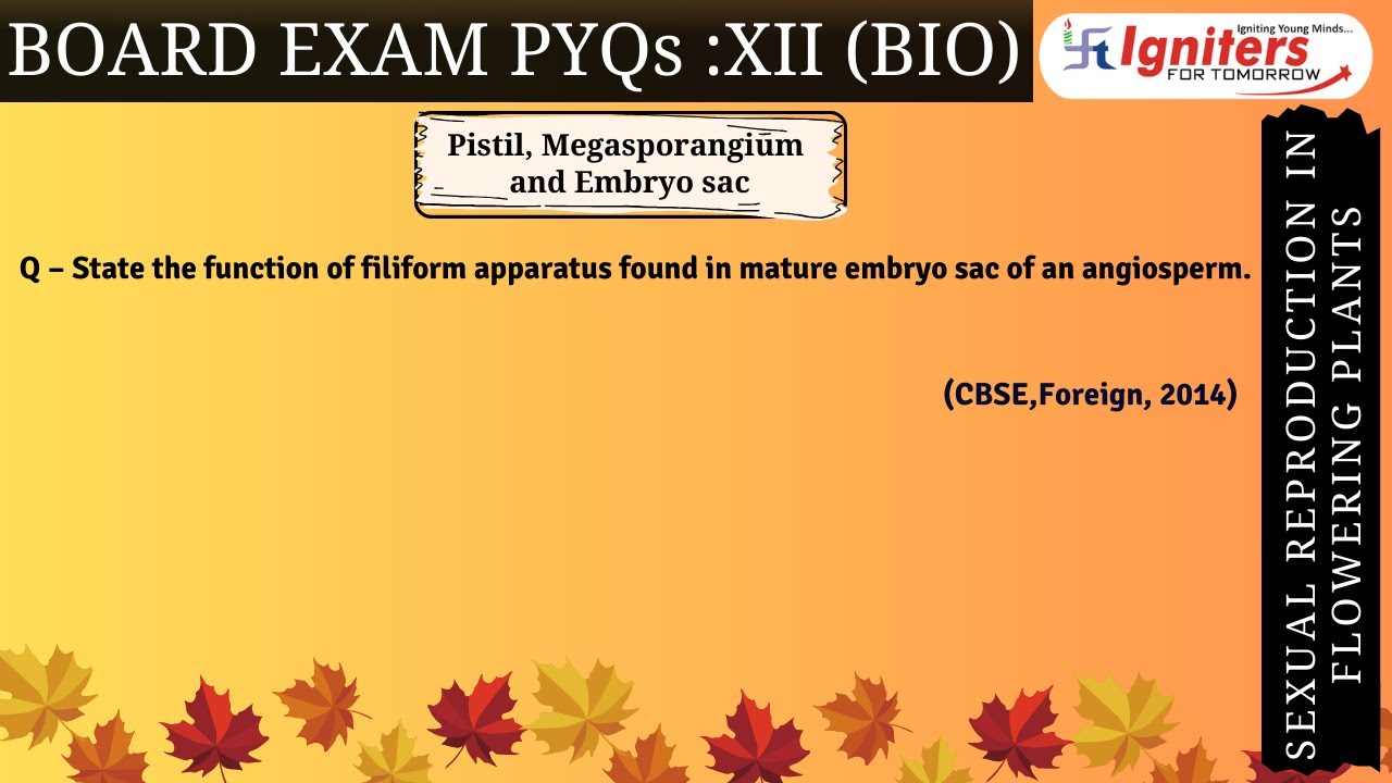 State the function of filiform apparatus found in mature embryo sac of ...