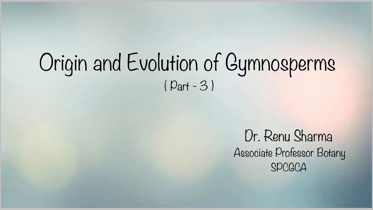 Origin and Evolution of Gymnosperms  Part - 3  ::  Dr. Renu Sharma