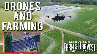Monitoring Crop Health With Drones | Maryland Farm & Harvest