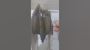 Automaton Wave prototype