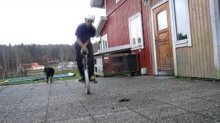 180 and 360 Unispin Tutorial