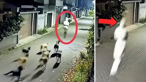 POCONG DI KEJAR ANJING ! 10 PENAMPAKAN HANTU TERJELAS DAN TERSERAM YANG VIRAL DI INTERNET