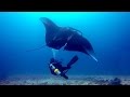 GoPro: Deep Sea Manta Ray Rescue