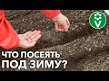 ПОДЗИМНИЙ ПОСЕВ ОВОЩЕЙ – ЧТО, КОГДА И КАК ПРАВИЛЬНО СЕЯТЬ?