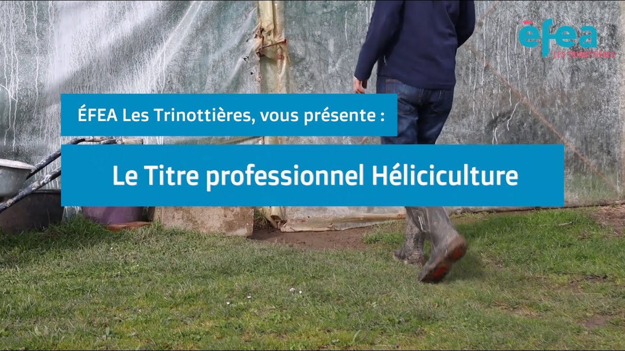 [Formation] Devenez éleveur hélicicole (d'escargots) !