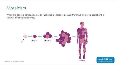 Module 7 - Delving Deeper