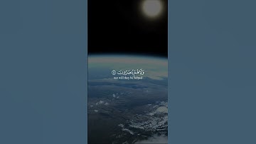 إن يوم الفصل ميقاتهم أجمعين يوم لا يغني مولى عن مولى شيئا ولا هم ينصرون» [سورة الدخان].🌱“