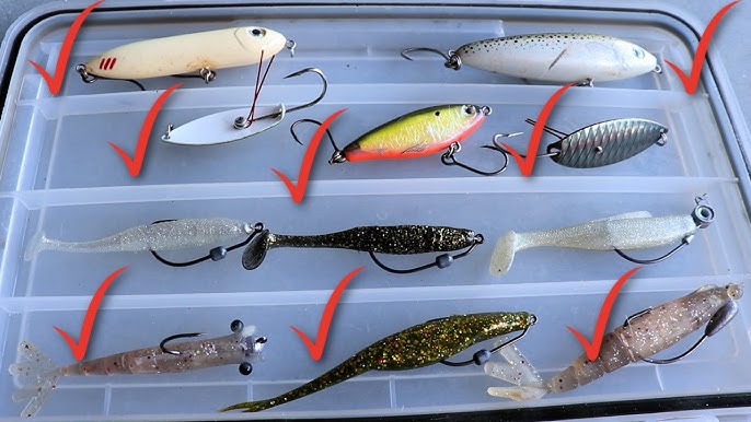 Best Beginner Fishing Rod, Reel, Line & More For Using Saltwater Lures 