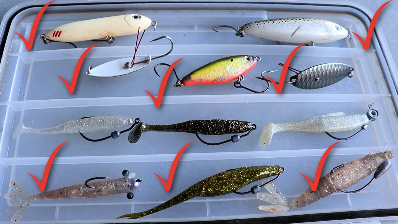 Everything You Need To Bring On Your Inshore Saltwater Fishing Trip 