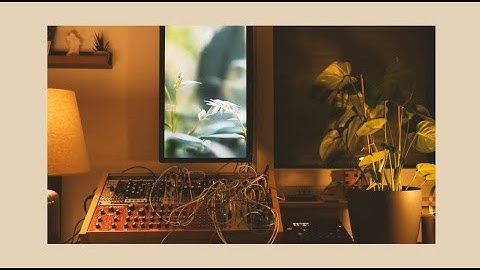 🌱 Steady Tones in Nature 🌱 | A Eurorack Ambient Jam | Touchdesigner AI Visuals