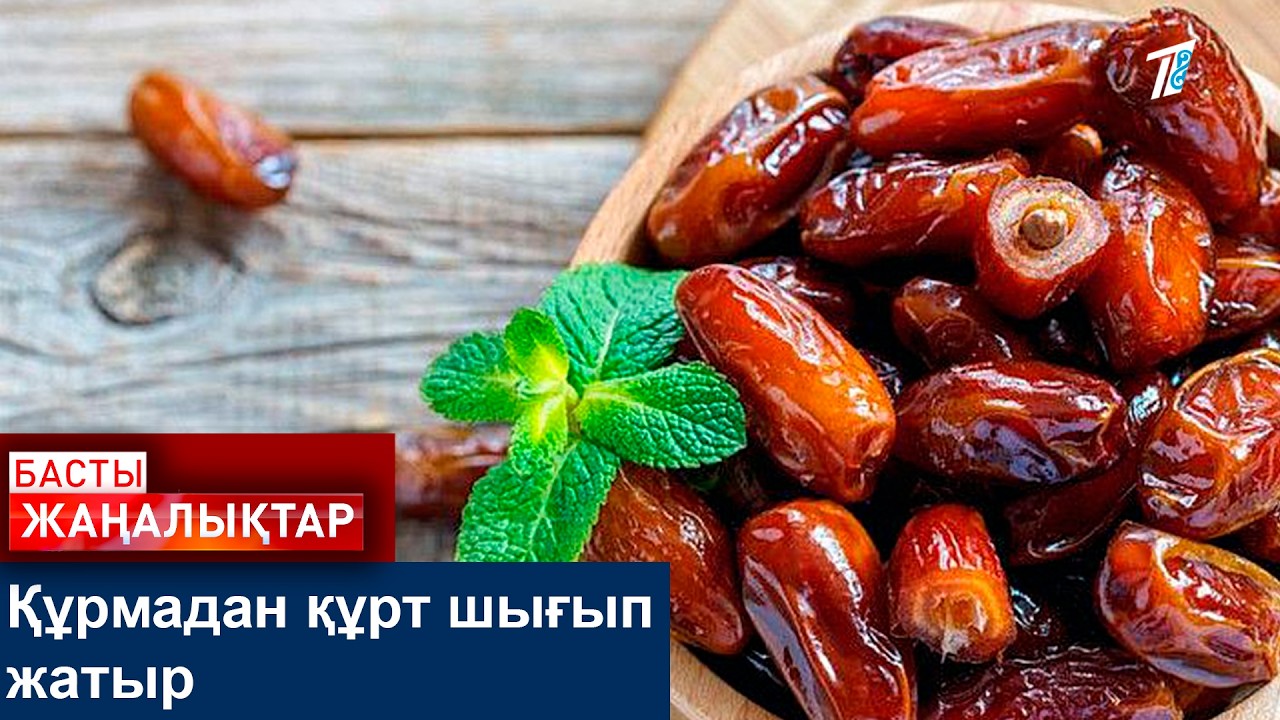 Құрмадан құрт шығып жатыр