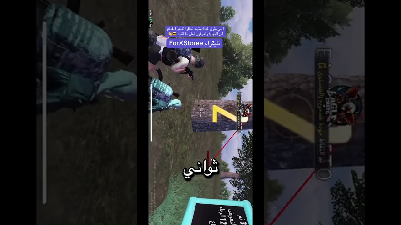 شرح هاك شيتو ببجي | فور اكس ستور 4xStore