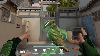 Split B Skye Flash Bug 2 - Valorant