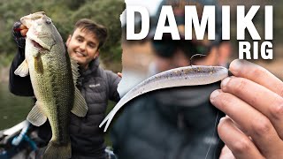 Así Pescamos Peces Suspendidos Con El Damiki Rig Sabor Lake