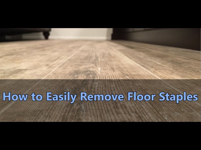 How To Easily Remove Floor Staples, Removing Carpet Staples From Hardwood Floors