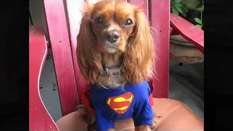 Super Cooper Fights ALS