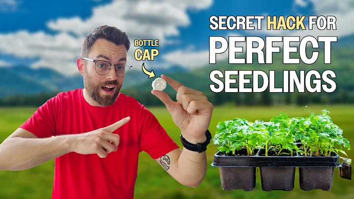 10 Free Garden Hacks That Actually Work thumbnail