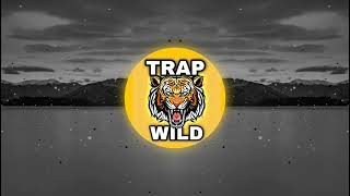 Trap Wild - Me Ver No Topo