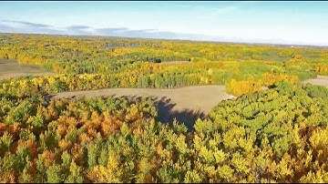 Drone Flight - Beautiful Autumn Flight with DJI Phantom 3