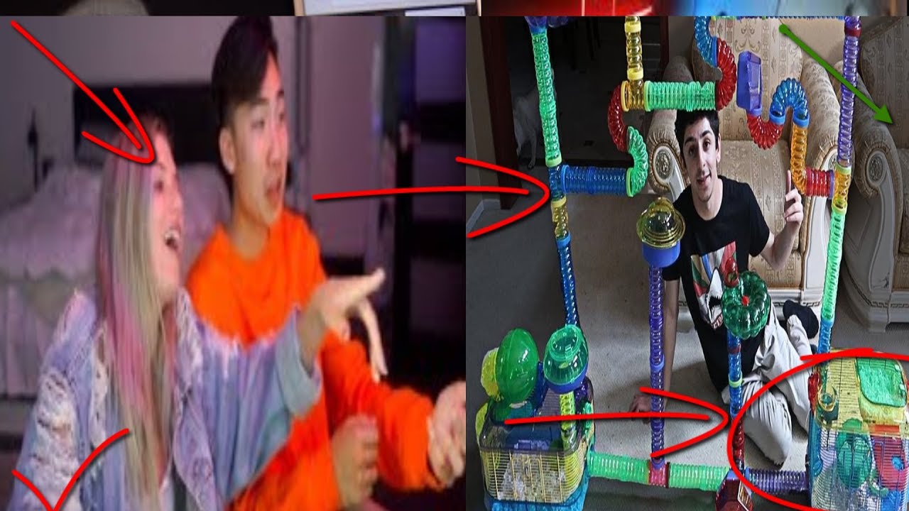 RiceGum and Alissa Violet vs Jake Paul! FaZe Rug HAMSTER DREAM CAGE ...