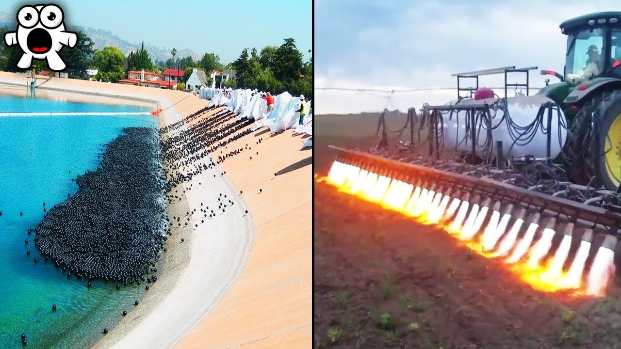 Ideias Malucas Que Deram Certo