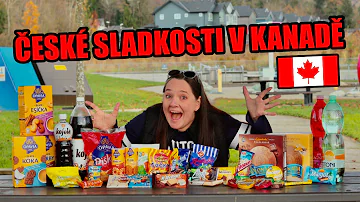 Co obsahuje artyčok pro diabetiky?