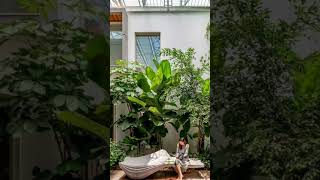 𝐓𝐡𝐞 𝐇𝐨𝐮𝐬𝐞 𝐎𝐟 𝐋𝐢𝐠𝐡𝐭𝐬