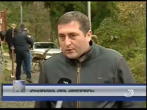 ჰორტენზიის ქუჩის კეთილმოწყობა