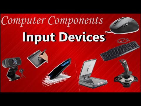Input Devices of Computer | (Examples and purpose)