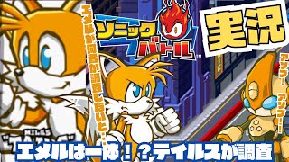 エメルを調査せよ、テイルス編【川鰐グラムのソニックバトル】
