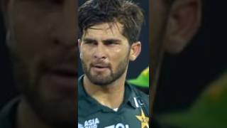 today cricket match highlights Pakistan vs new Zealand cricket highlights crickethighlights