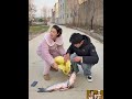 Get caught in a trap by chasing cheap prices #I'm Here as the Client #Wenxuan Likes to Joke