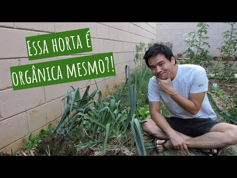 Vídeo: Cultivando uma horta orgânica