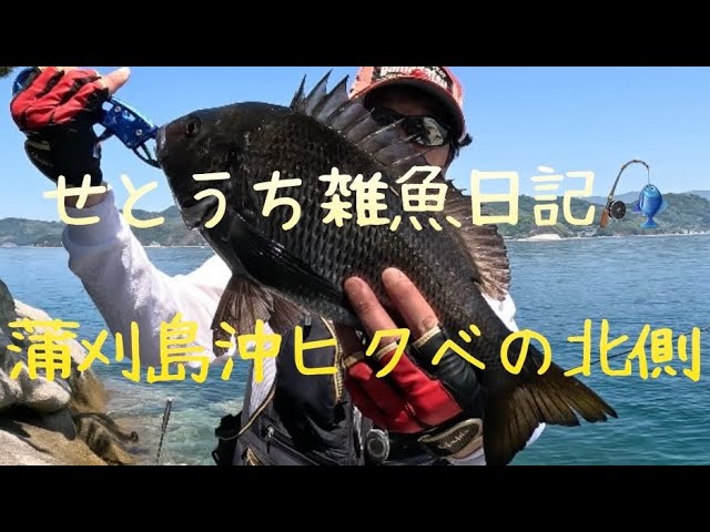 104 【衝撃】長年追い続けた夢の大政！秋爆で念願の10kgオーバーの大