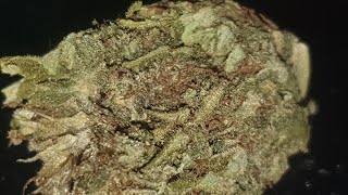 UK legal weed Herbalogy CBD review (🌒 Dark Earth🌒) 2019 #herbalogy UK legal weed