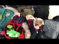 Beginning of video