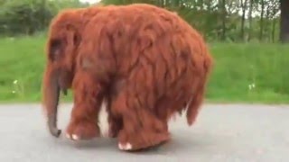 Baby Mammoth Suit