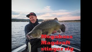 Rigging a Megabass Magdraft with a stinger hook