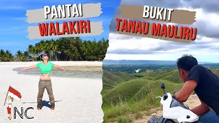 Download Lagu Tempat wisata ikonik dekat kota Waingapu | Sumba Timur MP3