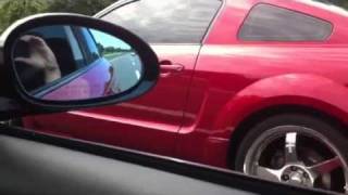 135I Jb4 Only Vs Roushe Mustang Na