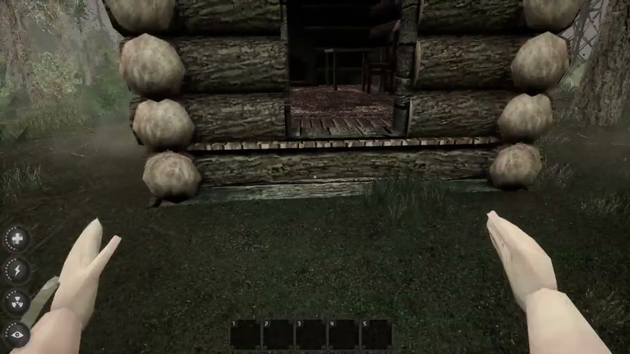 MISERY   bug----Bird house----