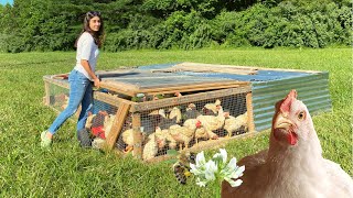 These Bees Help Feed My Chickens | Pasture Raised Poultry |