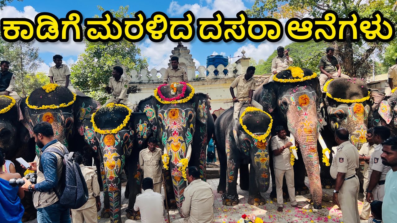 Dasara Elephants Return Home | ಕಾಡಿಗೆ ಮರಳಿದ ದಸರಾ ಆನೆಗಳು | Mysore Dasara 2025 | Abhimanyu | Bheema