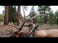 2020 New Mexico Archery Elk Season | Bowhunting For Elk